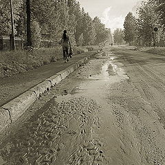 фото "Прогулка после дождя"