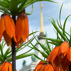 photo "Palace in jungle"