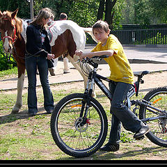 photo "Iron horse & live horse"