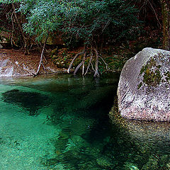 photo "water and the rock"