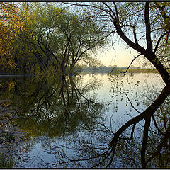 фото "High water"