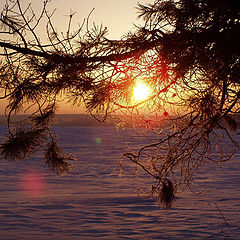 photo "Winter landscape"