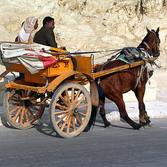 photo "Brakes have suddenly begun to squeal."