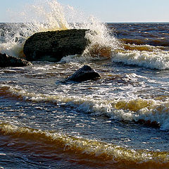 photo "Fresh wind №1"