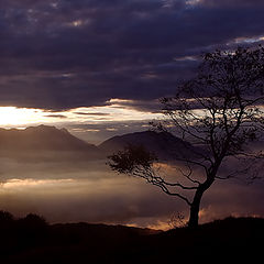 photo "Morning silhouet"