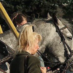 фото "Главное - не грива, главное - хвост"