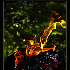 photo "Games With Fire"