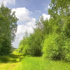 фото "Полдень."