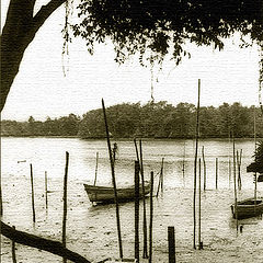 photo "Old boats..."