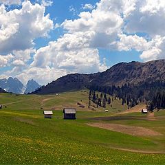 photo "Paradise"