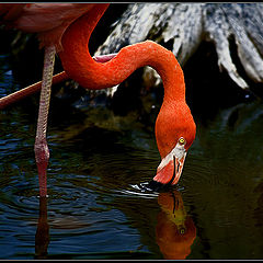 photo "Are You Talking to me?"