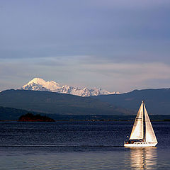 photo "Panoramic Sailors"