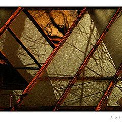 фото "Geometry # 001"