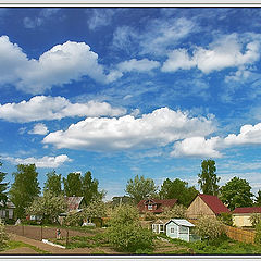 фото "Краски лета"