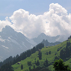 photo "A Typical Swiss Landscape"