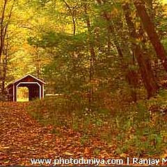 photo "Covered Bridge in Fall, Connecticut"