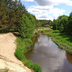 фото "Лесная речка"