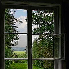 photo "Window in the nature. From a serial "Window""