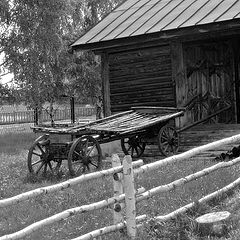 фото "Прогулка по деревне"