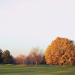 photo "Museum, Fall'sColor"