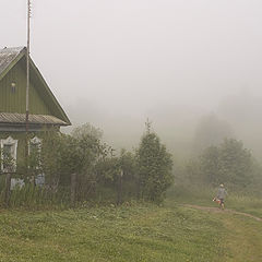 фото "Деревенский пейзаж. Туман"