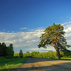 фото "LANDSCAPE"