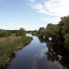 фото "Нежеголь"