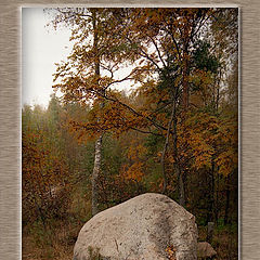 photo "The autumn and the stone"