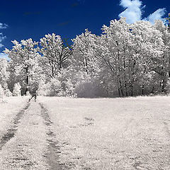 photo "the path"