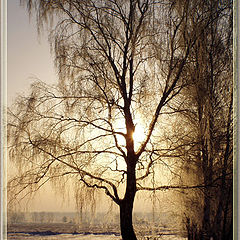 фото "Рассвет"