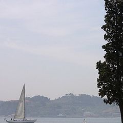 фото "Boats on the Tagus II"