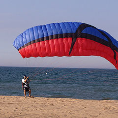 photo "learning to fly"