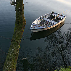 фото "Cavado River"