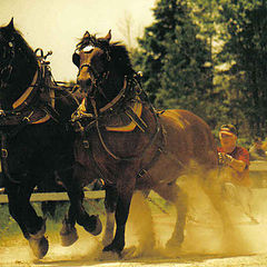 photo "old time drag racing"