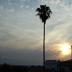 photo "sunset in Elvas"
