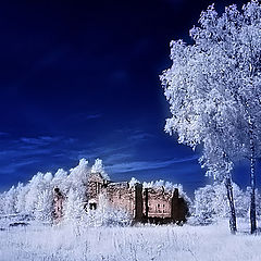 фото "remains of"