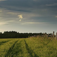 фото "Сумерки"