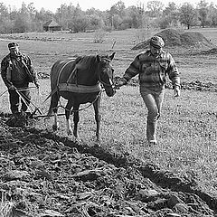 фото "Село. XXI век."