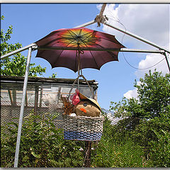 photo "Scarecrow in a garden"