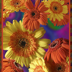 photo "Framed"