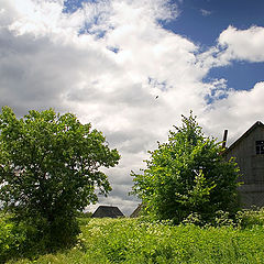 photo "After a years rain."