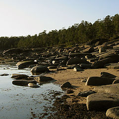 photo "White Sea/ Kij Island."