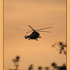 photo "Helicopter.."