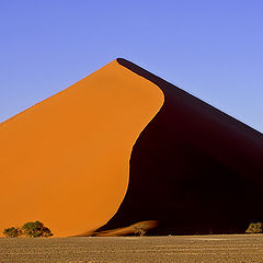 фото "Namib Dune"