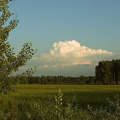 фото "Поле"