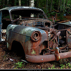 photo "Car R.I.P."