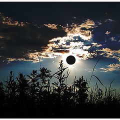 photo "Rising of the black moon."