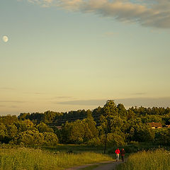 photo "Evening walk."