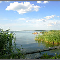 photo "Ashore of lake #2"