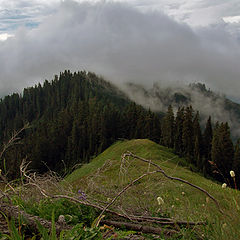 photo "over the clouds"